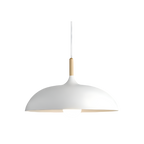 Nordic Style Wood Iron Art Pendant Light