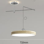 Rocker Movable Arm Flying Saucer Pendant Light