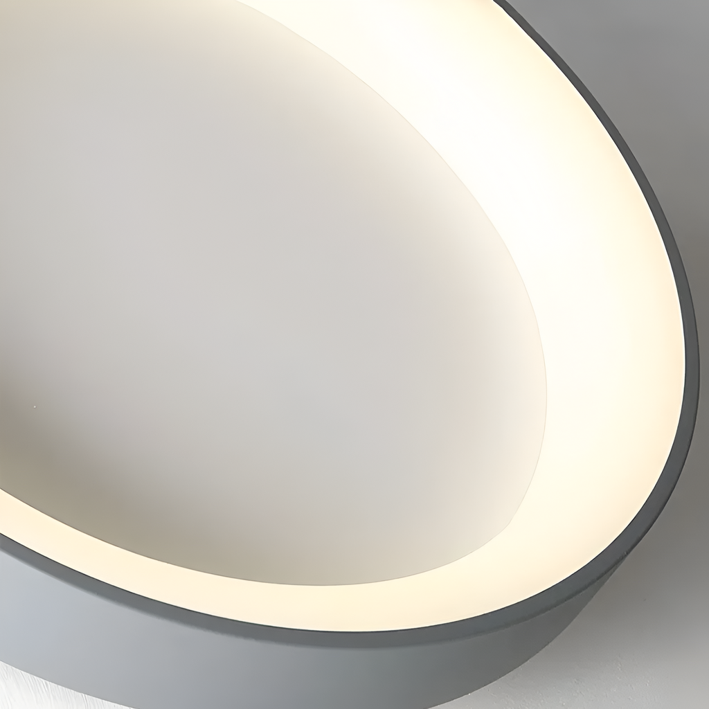 Nordic Modern Ring Shaped LED Ceiling Light