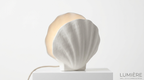 Coquille Sculptural Plaster Shell Wall Light