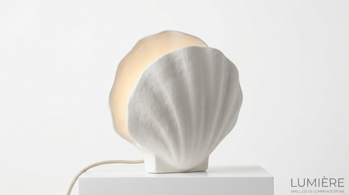 Coquille Sculptural Plaster Shell Wall Light