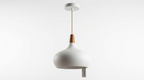 Augustus Nordic Resin Modern Pendant Light