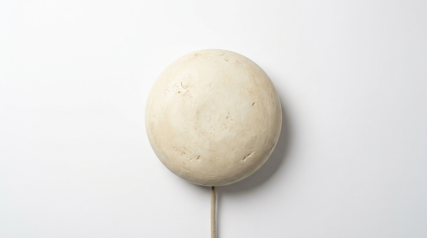 Shellora Wabi-Sabi Plaster Wall Light