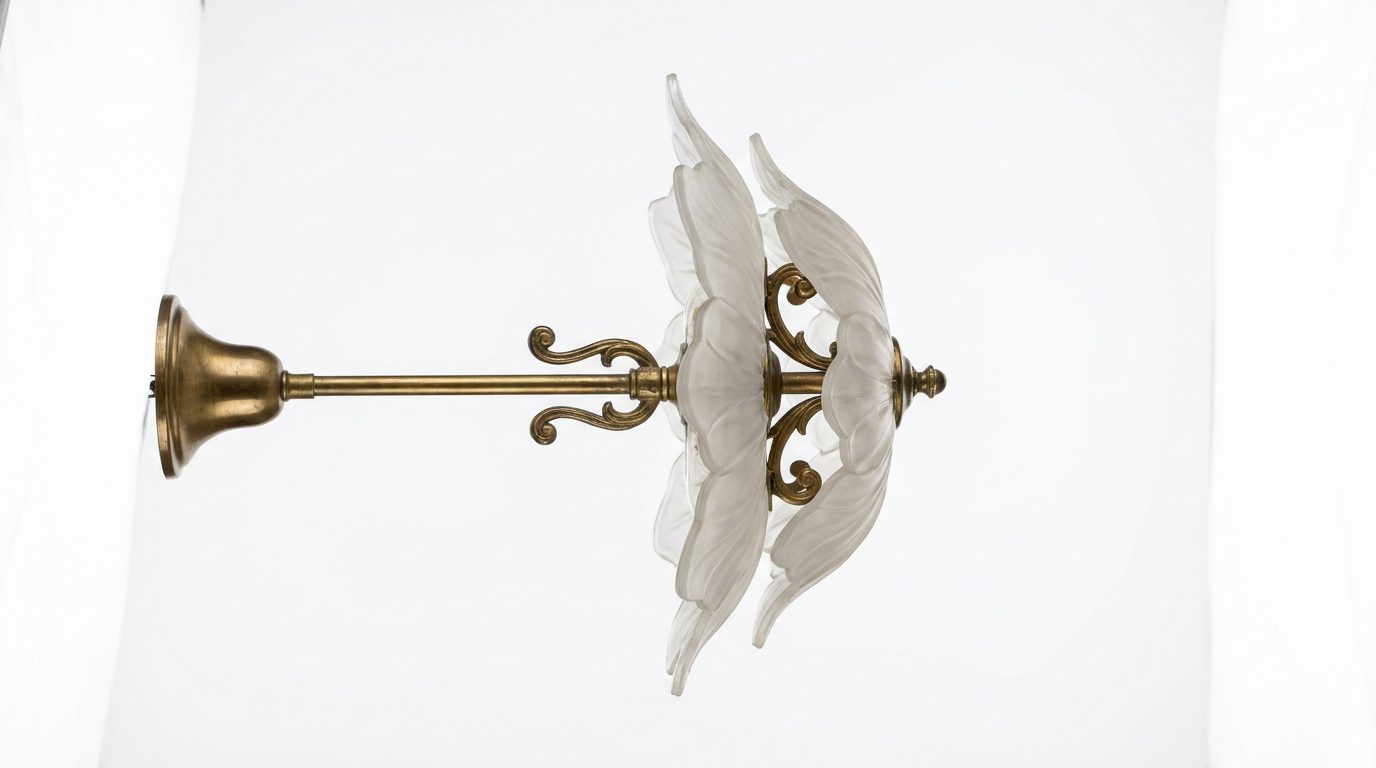 Fleur Petal French Vintage Acrylic Ceiling Light