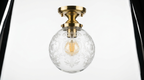 Clarionne Engraved Globe Glass Ceiling Light