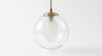 Elwyn Feather Glass Globe Pendant Light