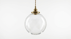 Elwyn Feather Glass Globe Pendant Light
