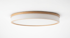 Lunara Minimalist Acrylic Japandi Ceiling Light