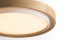 Lunara Minimalist Acrylic Japandi Ceiling Light
