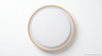 Lunara Minimalist Acrylic Japandi Ceiling Light