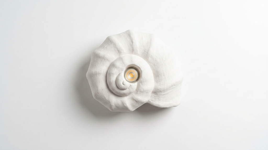 Coquille Sculptural Plaster Shell Wall Light