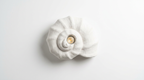 Coquille Sculptural Plaster Shell Wall Light