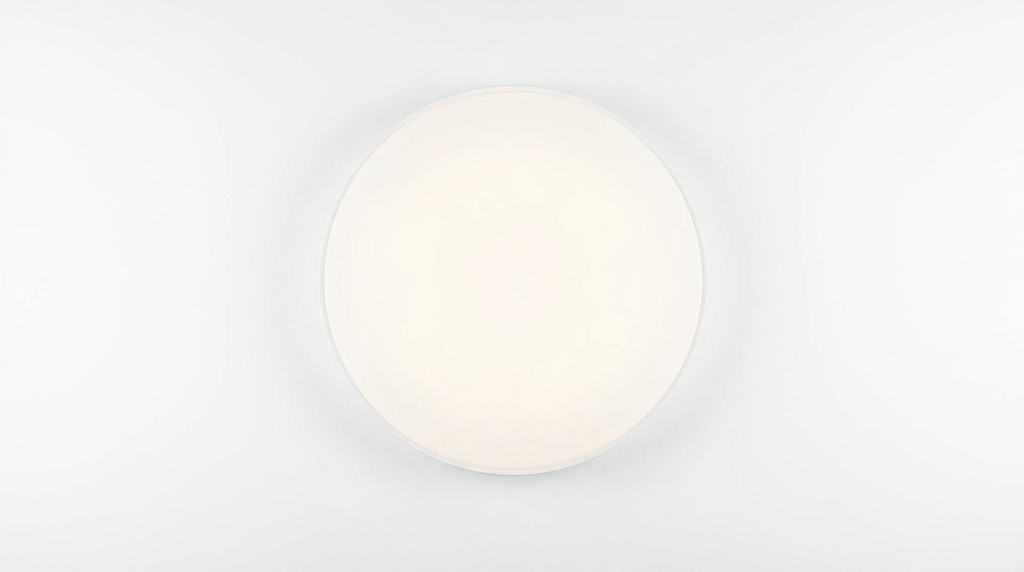 LumiTone Minimalist Acrylic Ceiling Light