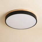 Nordic LED Round Flush Acrylic Minimalist Ceiling Light lifestyle image - Higgsfield lux20v1 - a1