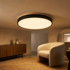 Nordic LED Round Flush Acrylic Minimalist Ceiling Light lifestyle image - Higgsfield lux20v1 - a15