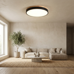 Nordic LED Round Flush Acrylic Minimalist Ceiling Light lifestyle image - Higgsfield lux20v1 - a17