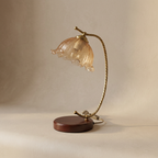 The Jewel of the Evening Gemstone lifestyle image - Higgsfield lux20v1 - a2