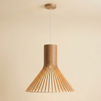 The Wood Sacred Radiance Pendant Light lifestyle image - Higgsfield lux20v1 - a1