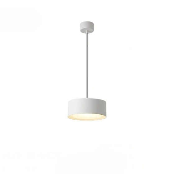 Liora Modern Acrylic Pendant Light