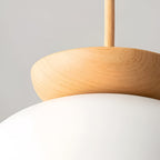 Nordic Minimalist Eco-Friendly Glass Pendant Light