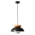 Nordic Minimalist Eco-Friendly Glass Pendant Light