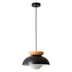 Nordic Minimalist Eco-Friendly Glass Pendant Light