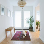 Fabric Tassel Bohemian chandelier Light