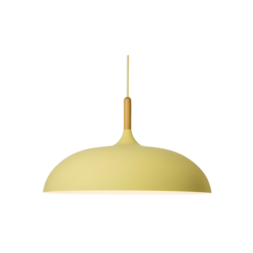 Nordic Style Wood Iron Art Pendant Light