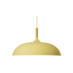 Nordic Style Wood Iron Art Pendant Light
